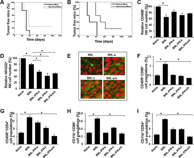 Antitumor immunity induced by the IFN-&#x03B1;/&#x03BB; combination.