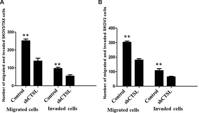 Figure 6: