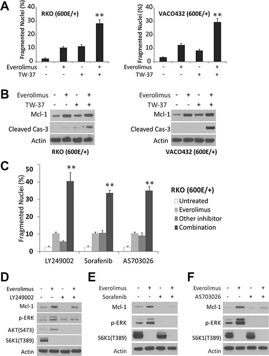 Pathway inhibitors restore apoptosis in BRAF600E cells.