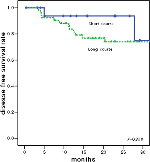 Disease free survival curve according to the radiotherapy groups.