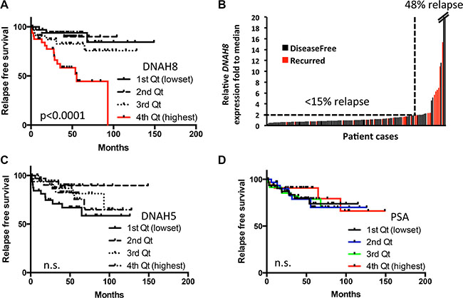 High DNAH8 mRNA expression is associated with reduced relapse free survival.