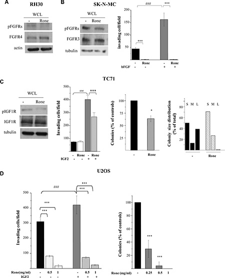 Inhibition of activation and biological activities of FGFRs and IGF1R.