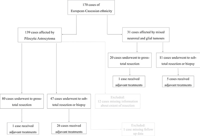 The flow chart of patient selection, including histological and extension of surgical resection criteria.