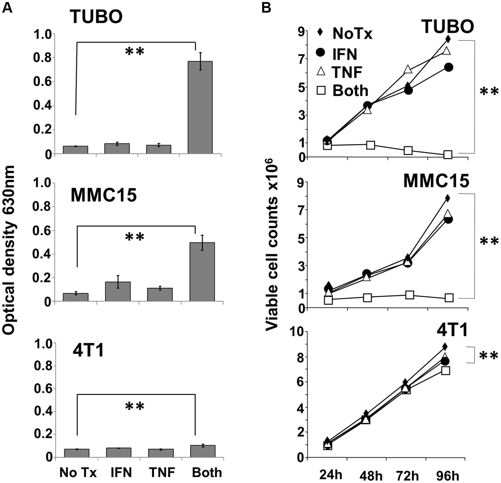 Effect of Th1 cytokines on metabolic activity and proliferation of murine breast cancer cell lines.