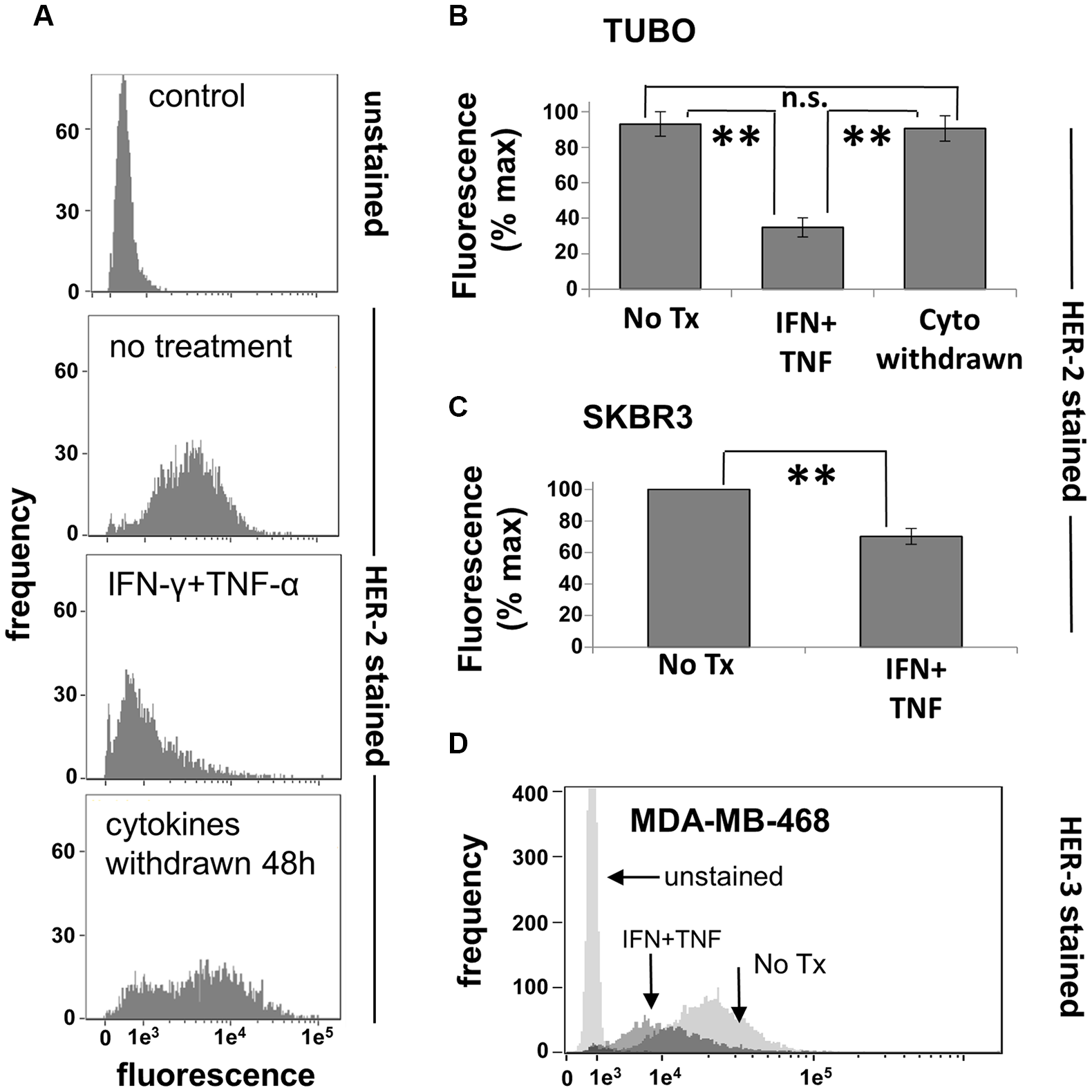 Th1 cytokines alter HER-family expression on murine and human breast cancer cells.