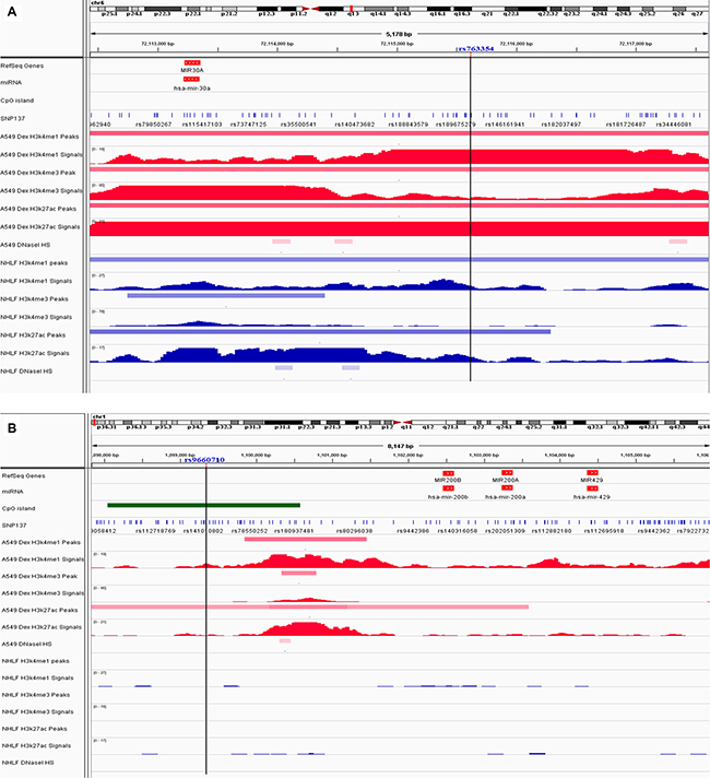 Chromatin features of risk-associated SNPs.