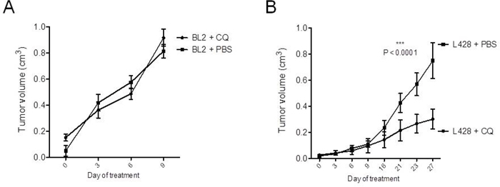CQ-treatment significantly inhibits cHL growth in-vivo.