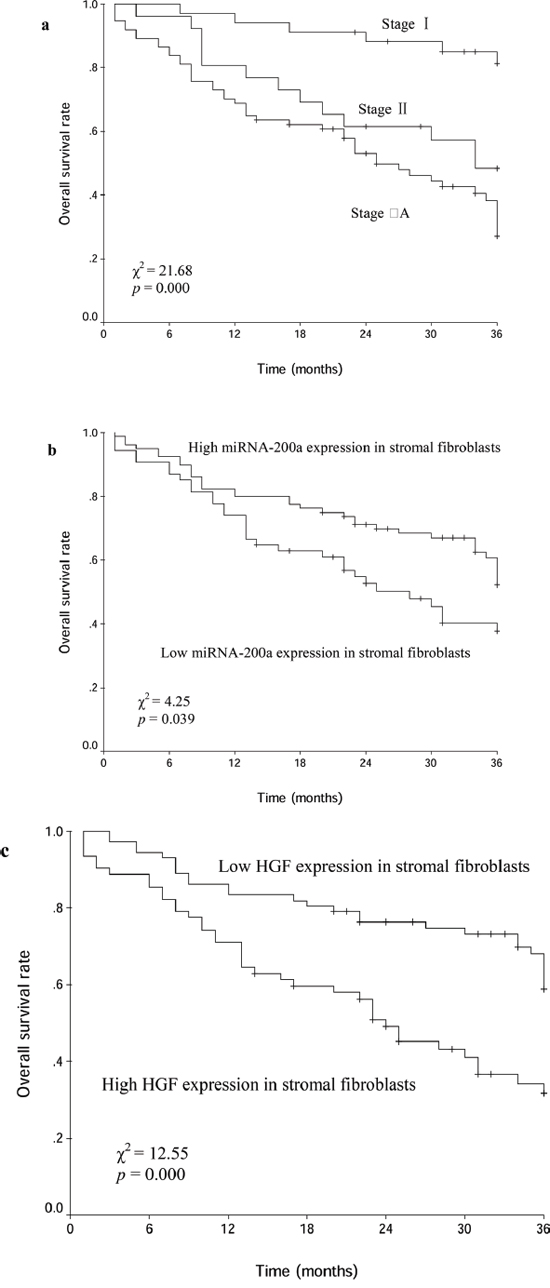 Kaplan-Meier curves for patients with clinical stage I- IIIA NSCLC after curative resection.
