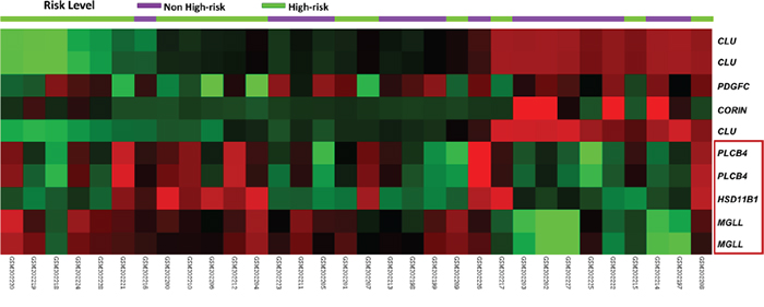 Heatmap of unsupervised hierarchical clustering analysis for differentially expressed genes associated with lipid metabolism.