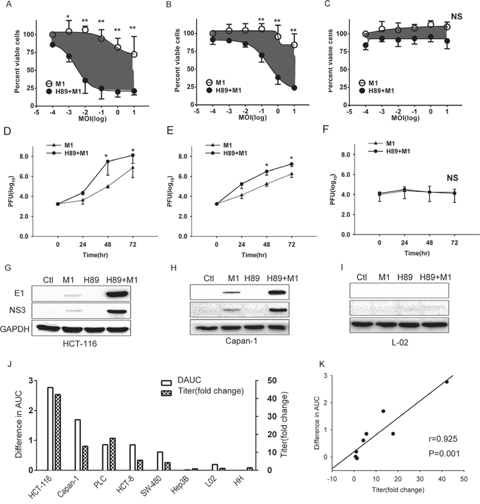 H89 selectively increases M1 replication and oncolysis in cancer cells.