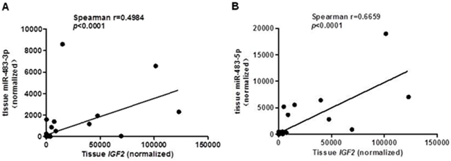 A positive correlation between IGF2 and miR-483 in CRC tissues.