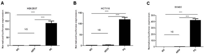 Identification of a potential promoter of miR-483 by luciferase activity assays in HEK293T(A), HCT116(B) and SW480(C) cells.
