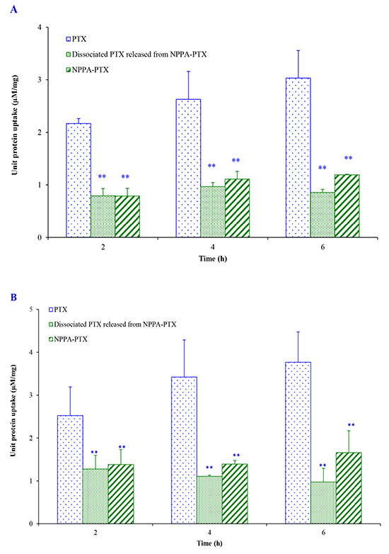 Cell uptake efficiency following culture with PTX and NPPA-PTX for 2, 4, 6 h in KB cells.