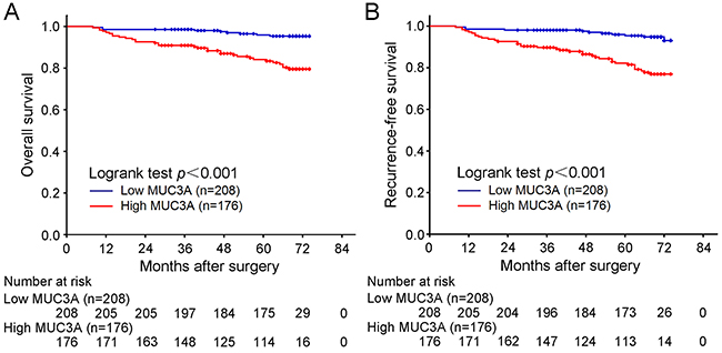 Overall survival (OS) and Recurrence-free survival (RFS) analysis of patients with localized ccRCC based on MUC3A expression.