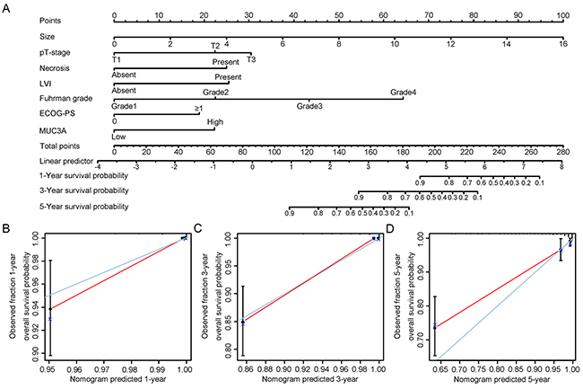 Nomogram and calibration plot for prognosis of OS in patients with localized ccRCC.