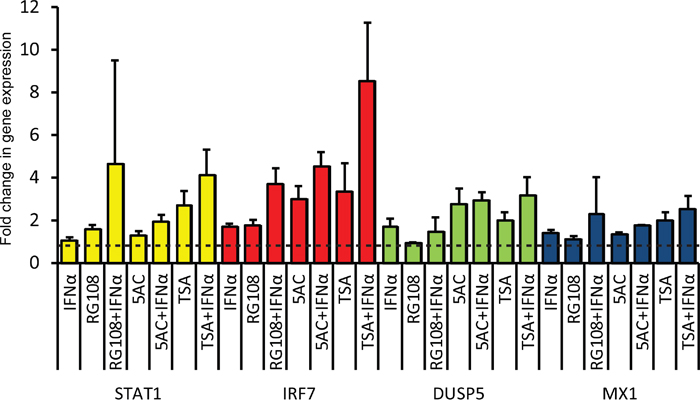 Treatment of LNCaP cells with EpMs and/or IFN results in minimal increases in expression of ISGs.