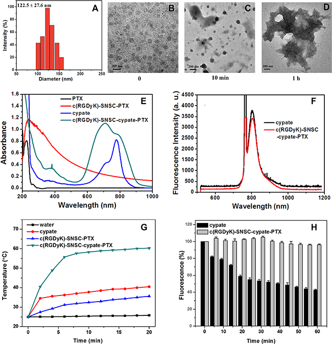 Size distribution and optical properties of c(RGDyK)-SNSC-cypate-PTX.