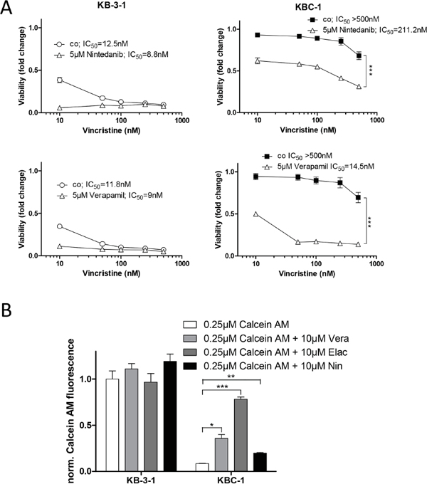 Nintedanib resensitizes multidrug resistant KBC-1 cells to ABCB1 substrate drugs.