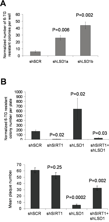 Opposing actions of LSD1 and SIRT1 in acquisition of HPRT mutations.