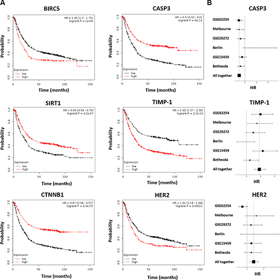 Survival for a selected set of the best performing markers.