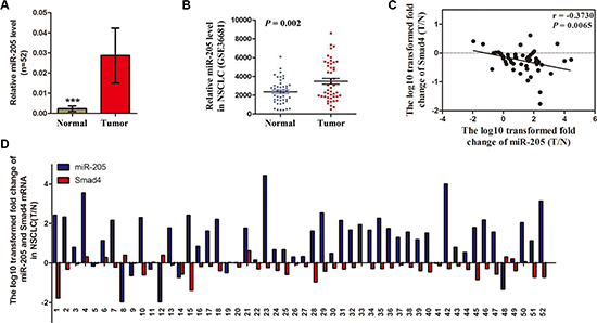 Expression of miR-205 is upregulated in NSCLC tissues and inversely correlated with SMAD4 expression.