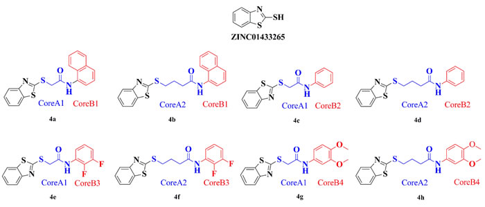 ZINC01433265 derivatives with high docking scores generated by core hopping.