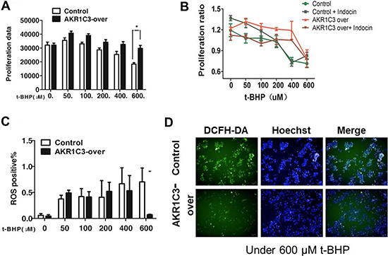 Mechanistic exploration of AKR1C3 as a cellular factor for protecting cells from irradiation damage.