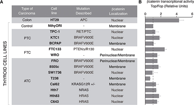 &#x03B2;-catenin subcellular localization and transcriptional activity in a panel of human thyroid cancer cell lines.