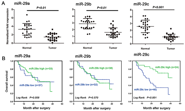 MiR-29c is an independent prognostic factor for glioma patient overcome.