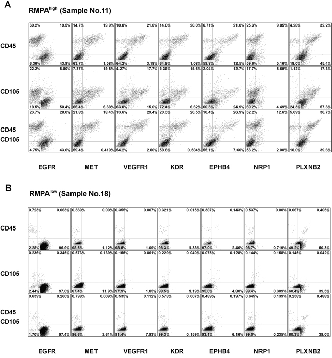 Enriched expression of angiogenic RTKs in vessel endothelial cells and infiltrating immune cells in RMPAhigh gliomas.