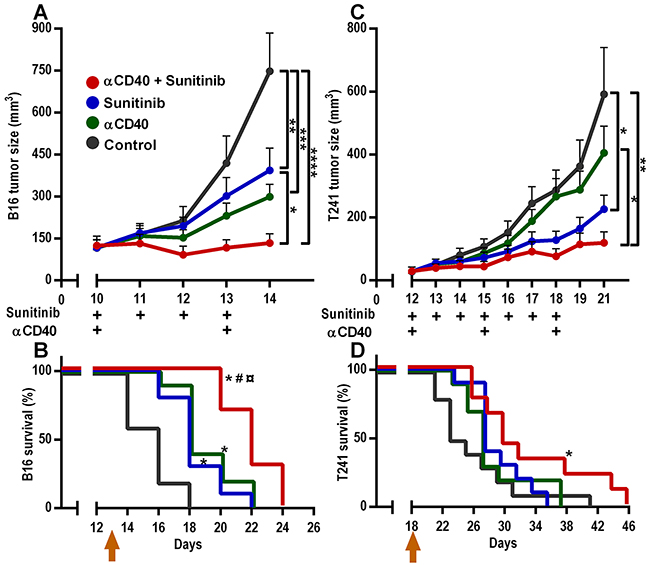 Combined anti-CD40 mAb and sunitinib therapy reduces B16.F10 melanoma and T241 fibrosarcoma tumor growth and improves survival