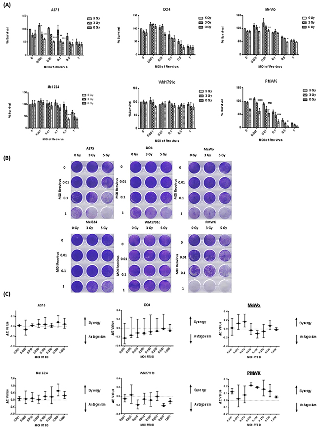 RT3D and RT combination in a panel of melanoma cell lines.