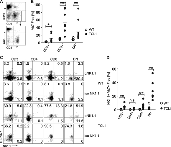 TCR-V&#x03B2;7 usage in T cell subsets of the TCL1 mouse.