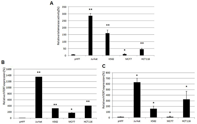 Correlations between telomerase activity in cancer and non cancer cells, hTERT mRNA expression and in their corresponding exosomes.