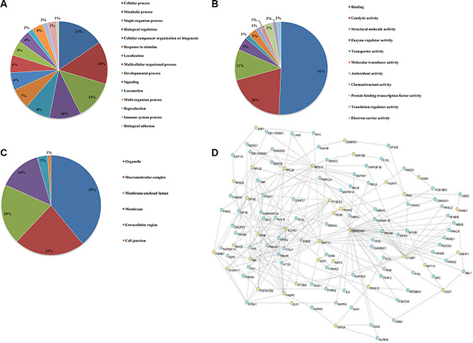 Gene ontology annotations of the proteome changes.
