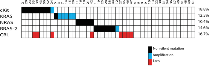 Summary of the somatic events.