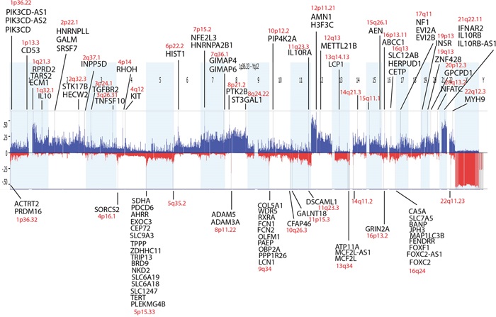 Statistically significant frequent copy number variations in germinomas analyzed by GISTIC.