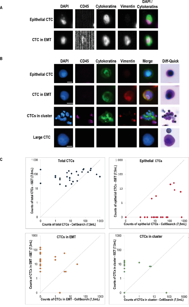 Phenotypic heterogeneity of CTCs isolated by CellSearch and ISET.