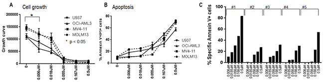 Anti-leukemic effect of MLN0128 in AML.