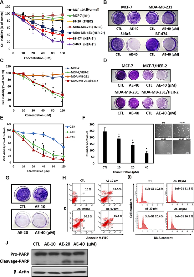 Aloe-emodin specifically inhibited cell proliferation and induced apoptosis in HER-2-overexpressing breast cancer cells.