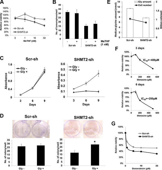 The tumorigenicity of SHMT2 is mediated via glycine rather than MeTHF.
