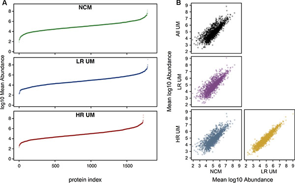 Proteomic profiles are qualitatively similar across all sample types.