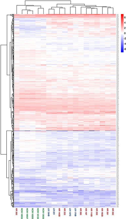 Heatmap showing highest level of separation discriminating between the secretomes from NCM and primary UM cells.