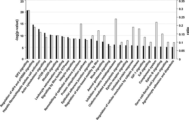 Canonical signalling pathways associated with UM.