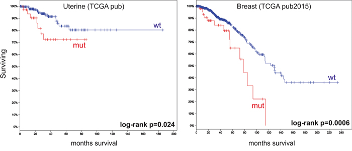 Overall survival analyses using cBioPortal data.