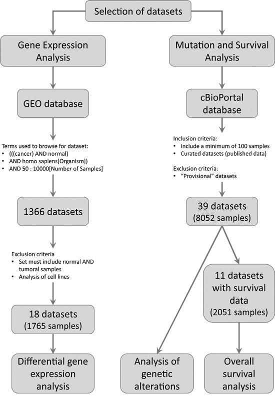 Pipeline used to select the datasets to be analyzed.