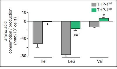 Impact of TKTL1 knock down on amino acid levels.