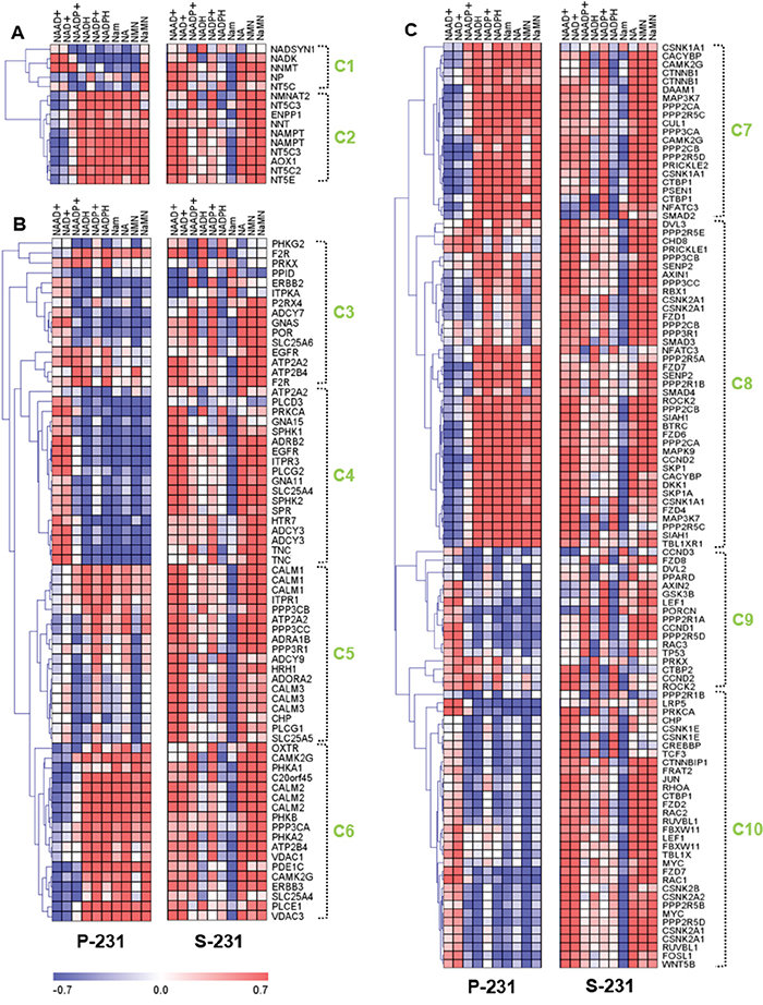 Correlation analysis between transcriptomes and metabolomes reveal characteristics of cancer stemness by regulating genetic factors and NAAD+ metabolism.