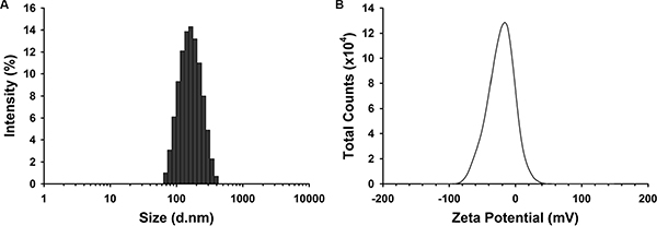 Size (A) and Zeta potential (B) distribution of DAS-loaded albumin NPs.