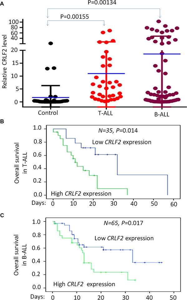 Correlation of CRLF2 overexpression and correlation with survival in adult ALL.